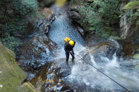 Full-Day Canyoning Experience At Stunning Empress Canyon - Australian Directory 4