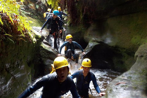 Full-Day Canyoning Experience At Stunning Empress Canyon - Australian Directory 5