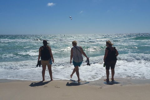 Very Best Of Perth Tour - Wildlife Park & City Highlights Tour - Australian Directory 5