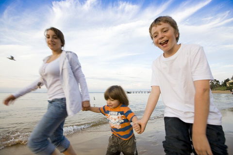 Phillip Island Penguin And Koala Highlights Day-Trip From Melbourne - Australian Directory 0