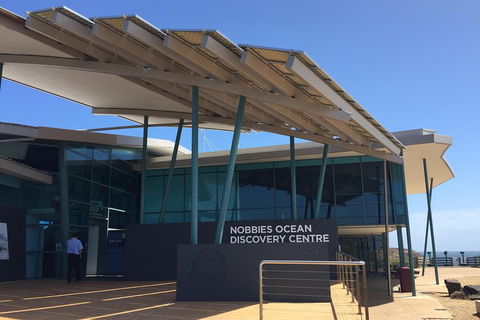 Phillip Island Penguin And Koala Highlights Day-Trip From Melbourne - Australian Directory 1
