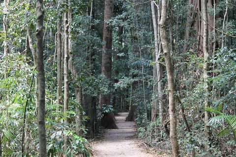 Eumundi Markets And Sunshine Coast Day Trip From Brisbane - Australian Directory 4