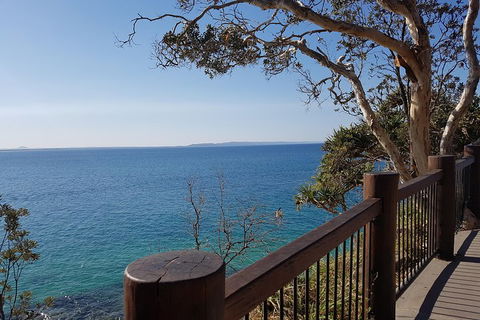 Noosa And Sunshine Coast Hinterland Day Trip From Brisbane - Australian Directory 0
