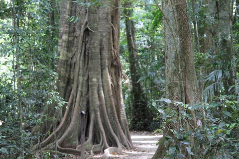 Noosa And Sunshine Coast Hinterland Day Trip From Brisbane - Australian Directory 3