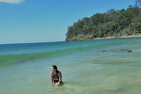 Noosa And Sunshine Coast Hinterland Day Trip From Brisbane - Australian Directory 4