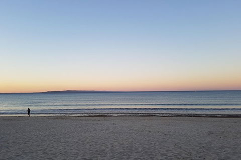 Noosa And Sunshine Coast Hinterland Day Trip From Brisbane - Australian Directory 5
