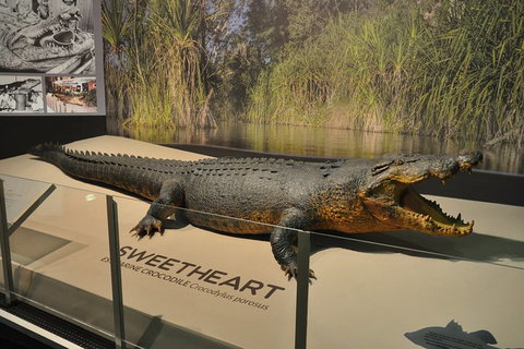 Explore Darwin City Sights Including Key Attractions - Australian Directory 2