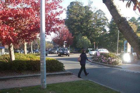 PRIVATE All-Day Blue Mountains Tour With Professional Guide For Up To 4 People - Australian Directory 1