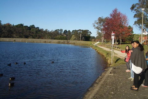 PRIVATE All-Day Blue Mountains Tour With Professional Guide For Up To 4 People - Australian Directory 2