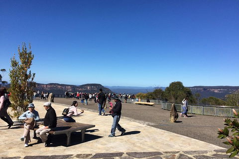 PRIVATE All-Day Blue Mountains Tour With Professional Guide For Up To 4 People - Australian Directory 5