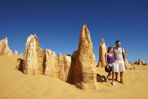Pinnacles Day Trip From Perth Including Yanchep National Park - Australian Directory 0