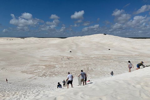 Pinnacles Day Trip From Perth Including Yanchep National Park - Australian Directory 2