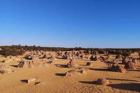 Pinnacles Day Trip From Perth Including Yanchep National Park - Australian Directory 3