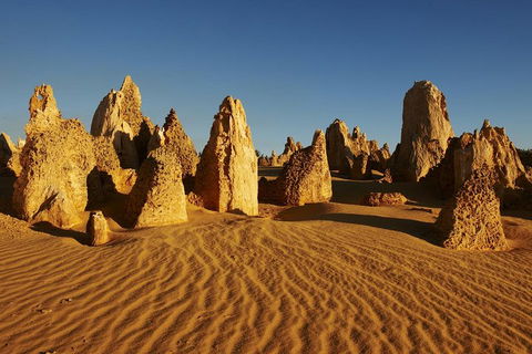 Pinnacles Day Trip From Perth Including Yanchep National Park - Australian Directory 5