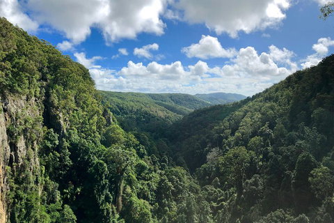 Springbrook Full Day Tour - Australian Directory 1