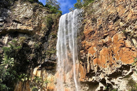 Springbrook Full Day Tour - Australian Directory 2