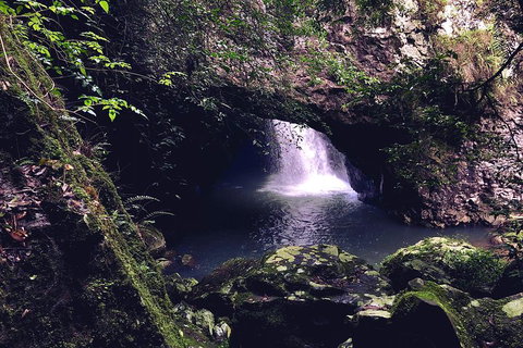 Springbrook Full Day Tour - Australian Directory 3