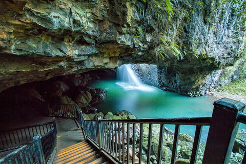 Springbrook Full Day Tour - Australian Directory 4