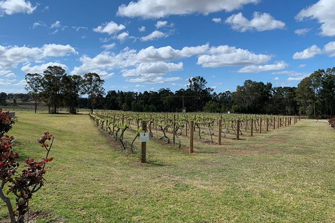 Private Day Trip To Hunter Valley From Sydney With Pickup - Australian Directory 3