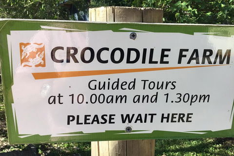Cairns City Tour - Australian Directory 5