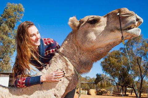 Alice Springs Camel Tour - Australian Directory 2