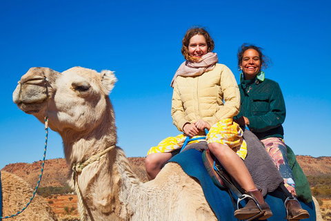 Alice Springs Camel Tour - Australian Directory 3