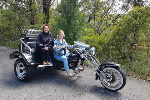 Blue Mountains 1-Hour Trike Tour Of Three Sisters - Australian Directory 1