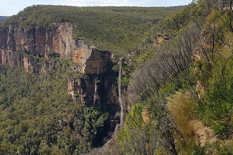 Blue Mountains 1-Hour Trike Tour Of Three Sisters - Australian Directory 5