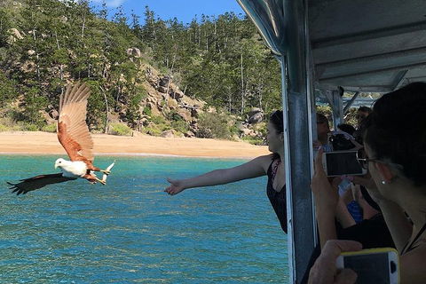 Aquascene Magnetic Island Discovery Tour - Australian Directory 2