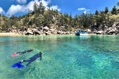 Aquascene Magnetic Island Discovery Tour - Australian Directory 4