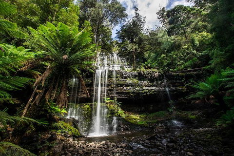 3-Day Tour To The Falls, Mountains, Lake & More Of West Coast Tasmania - Australian Directory 4