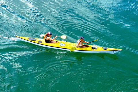 Self-Guided Sydney Middle Harbour Kayak 3 Hour Tour By Double Kayak - Australian Directory 1
