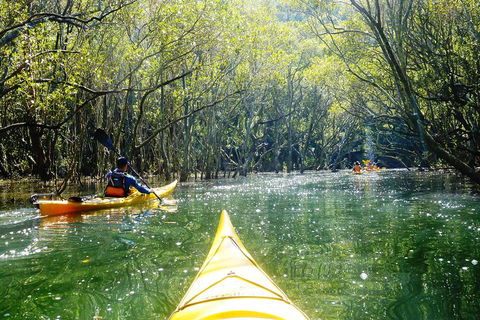 Self-Guided Sydney Middle Harbour Kayak 3 Hour Tour By Double Kayak - Australian Directory 3