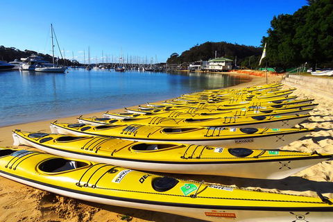 Self-Guided Sydney Middle Harbour Kayak 3 Hour Tour By Double Kayak - Australian Directory 4