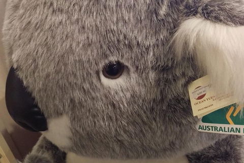 Ballarat Gold Fields Tour - Australian Directory 5