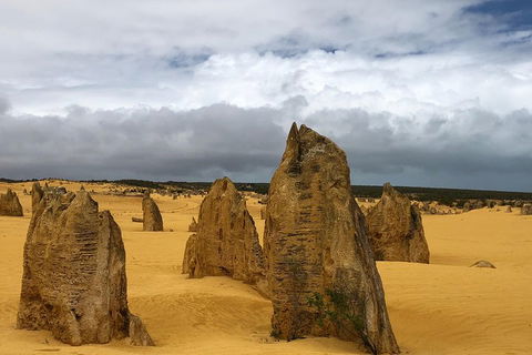 Private Pinnacles Day Tour - Australian Directory 1