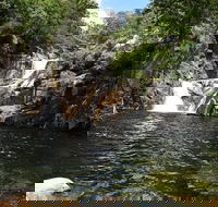 Behana Canyon Rainforest and Waterfall Experience - Australian Directory
