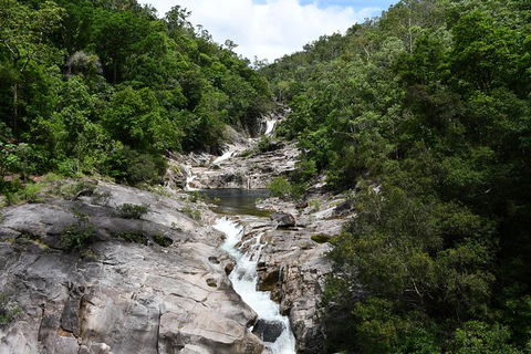 Behana Canyon Rainforest And Waterfall Experience - Australian Directory 1