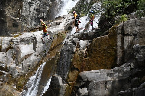 Behana Canyon Rainforest And Waterfall Experience - Australian Directory 2