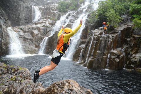 Behana Canyon Rainforest And Waterfall Experience - Australian Directory 3