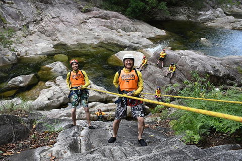Behana Canyon Rainforest And Waterfall Experience - Australian Directory 4