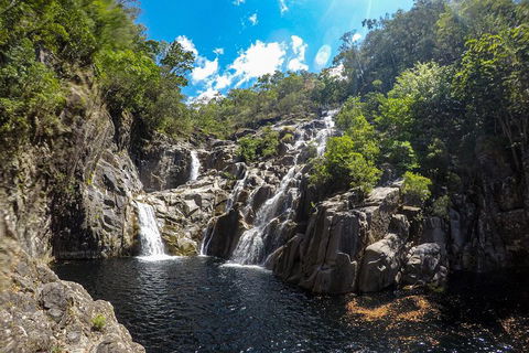 Behana Canyon Rainforest And Waterfall Experience - Australian Directory 5