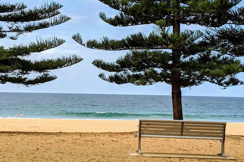 Manly & Sydney's Northern Beaches With 'Personalised Sydney Tours' - Australian Directory 0