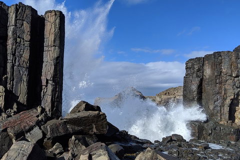 Erupting Blowholes And Ancient Rainforests With 'Personalised Sydney Tours' - Australian Directory 0