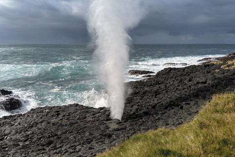 Erupting Blowholes And Ancient Rainforests With 'Personalised Sydney Tours' - Australian Directory 1