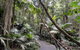 Erupting Blowholes And Ancient Rainforests With 'Personalised Sydney Tours' - thumb 2