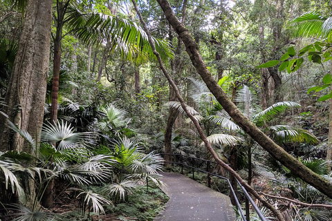 Erupting Blowholes And Ancient Rainforests With 'Personalised Sydney Tours' - Australian Directory 2