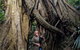 Erupting Blowholes And Ancient Rainforests With 'Personalised Sydney Tours' - thumb 4