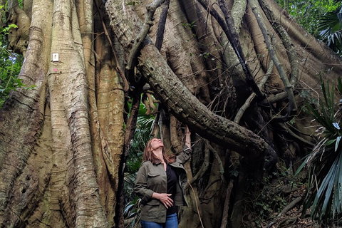 Erupting Blowholes And Ancient Rainforests With 'Personalised Sydney Tours' - Australian Directory 4