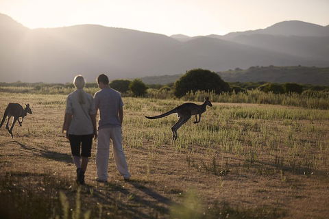 Overnight Daylesford And Macedon Ranges Gourmet Food Trail Tour From Melbourne - Australian Directory 1